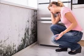 Why You Should Choose Our Mold Remediation Services in Hurstbourne Acres, KY